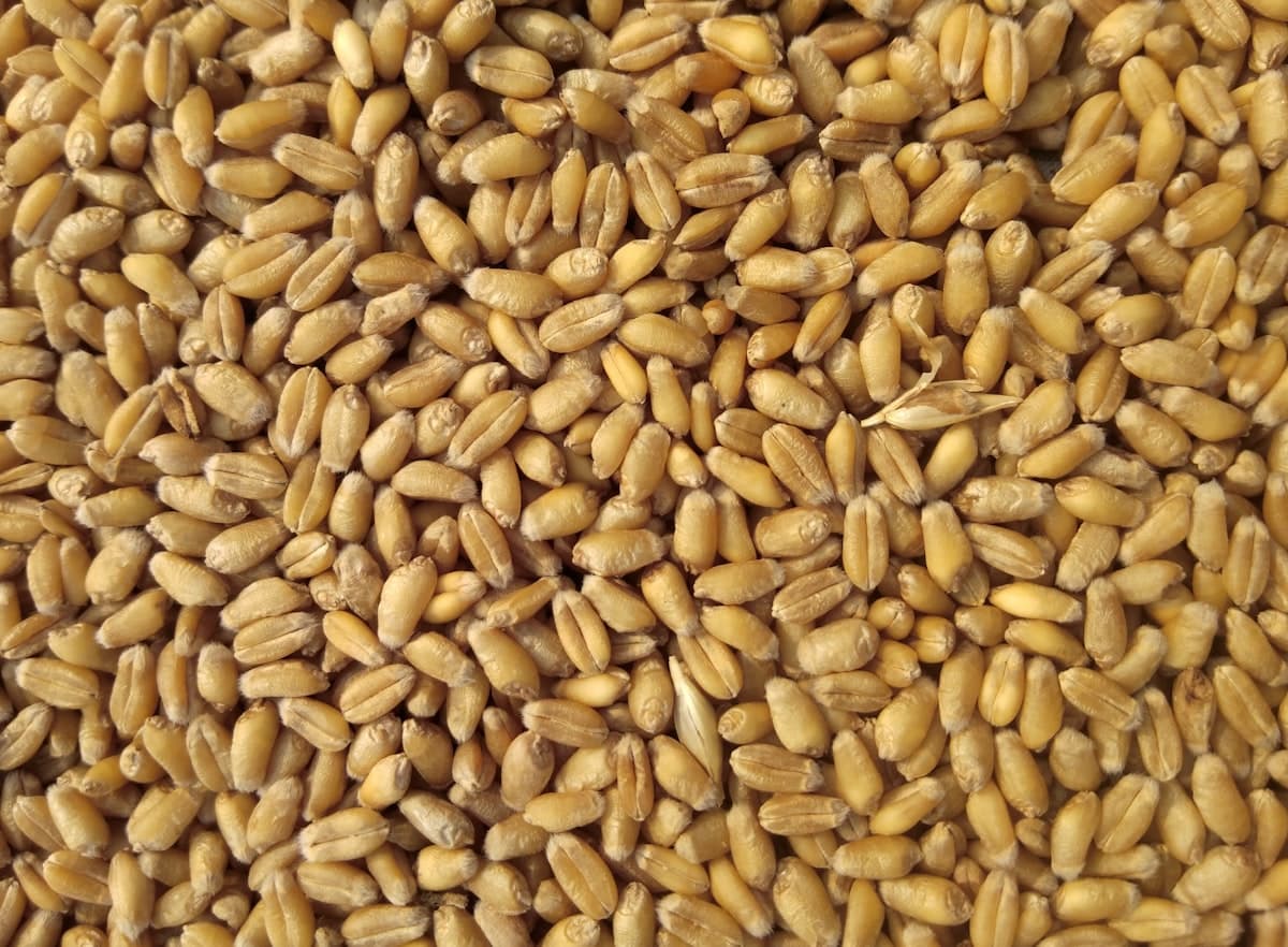 Campo de cultivos con maquinaria agrícola